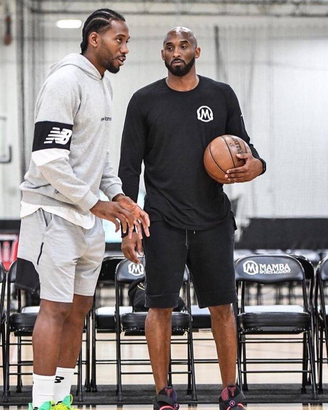 从结构与细 从结构与细